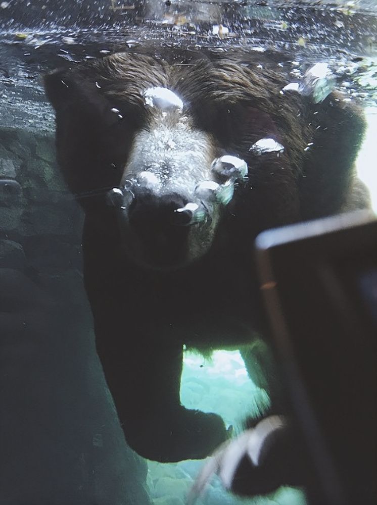 Photograph by Grigory Dudnichenko