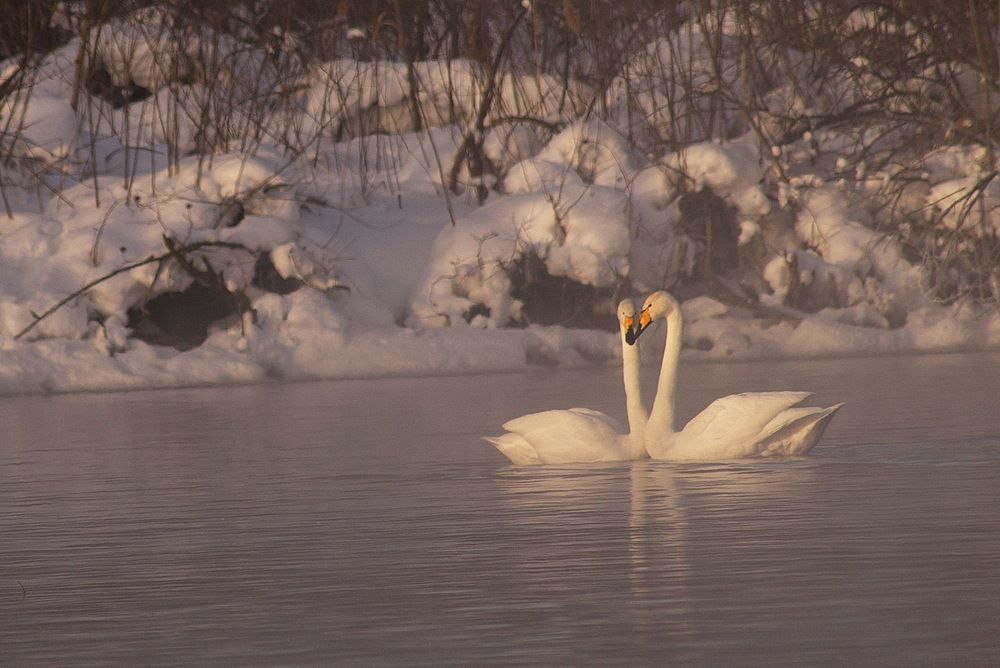 Сказка, похожая на жизнь