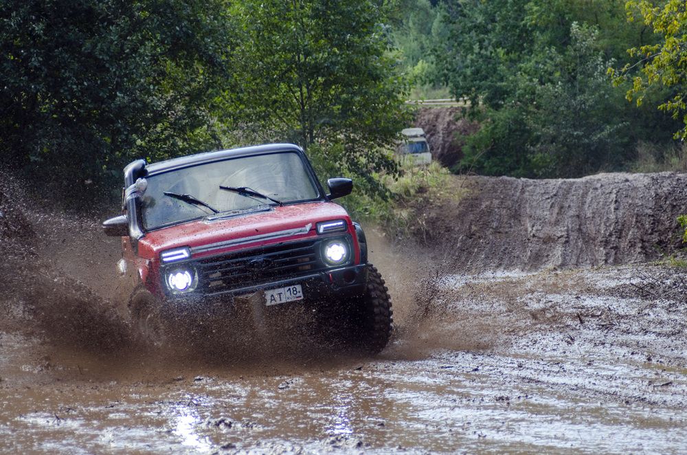 Photo #13377591