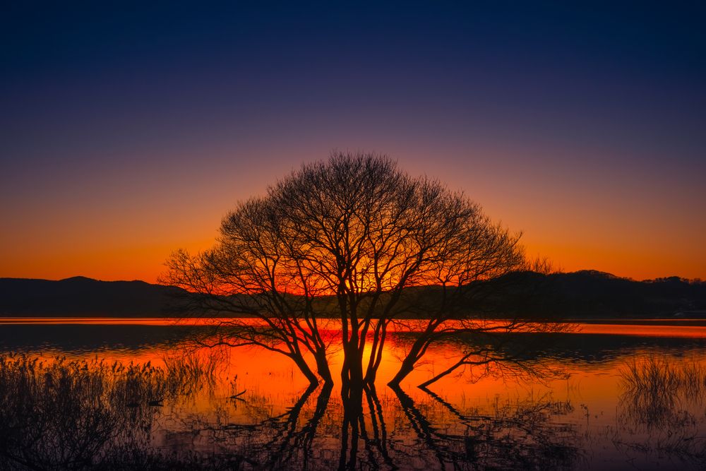 Golden Breath