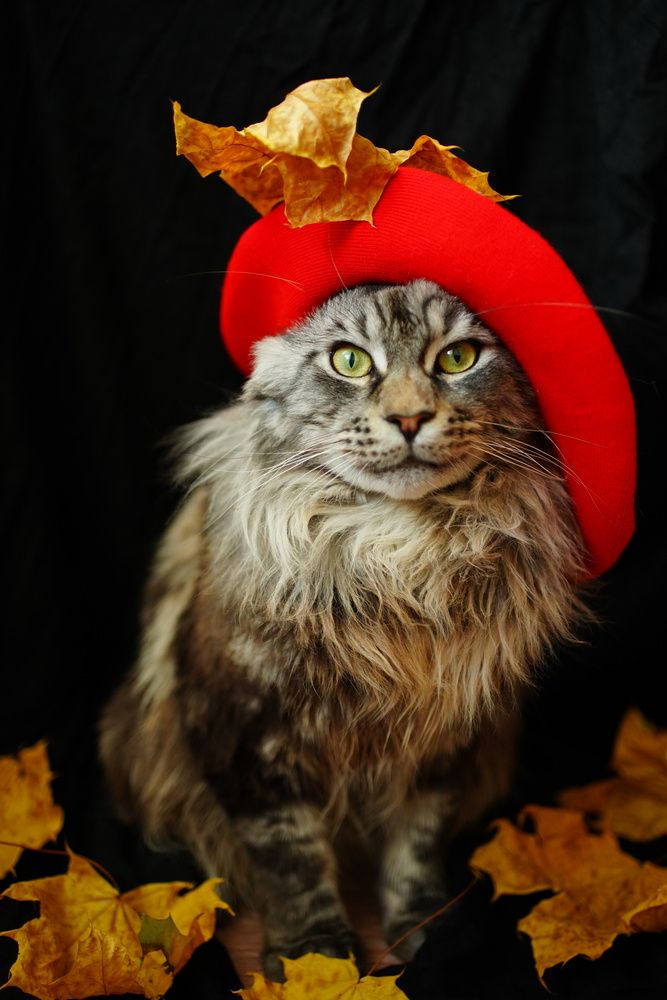 Photograph by Наталья Осипчук