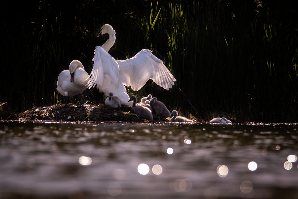 Photograph by Алёна Газукина