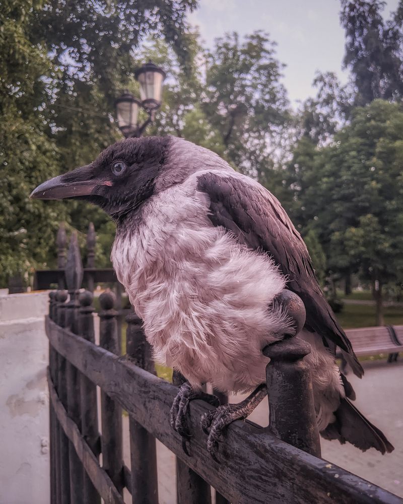 Photograph by Дудников Александр