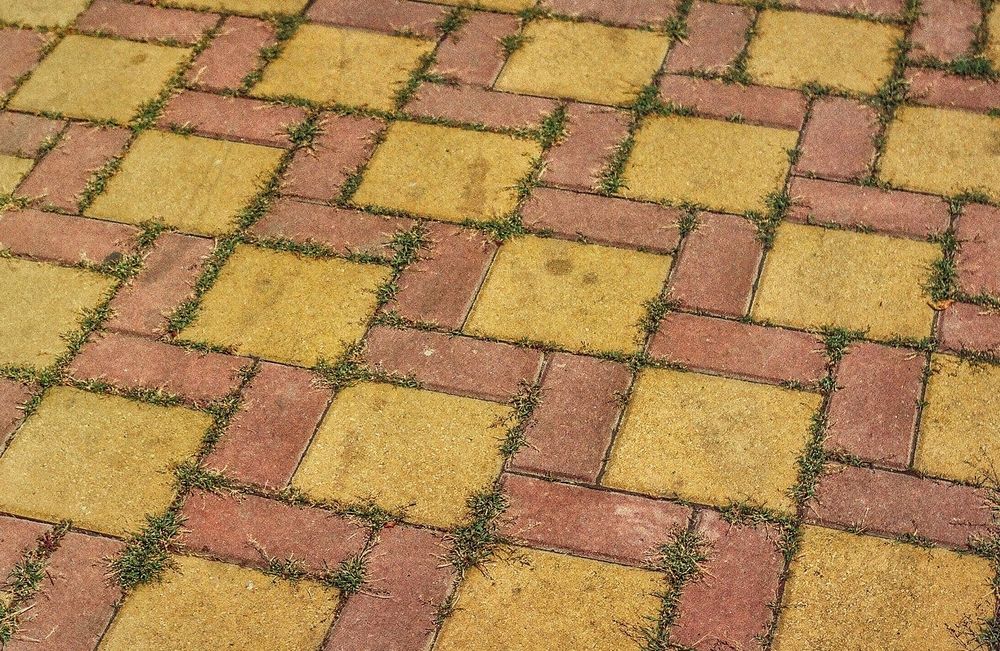 Упорядоченность