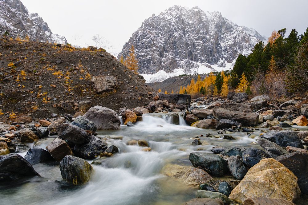 Photograph by Артём Кривошеев