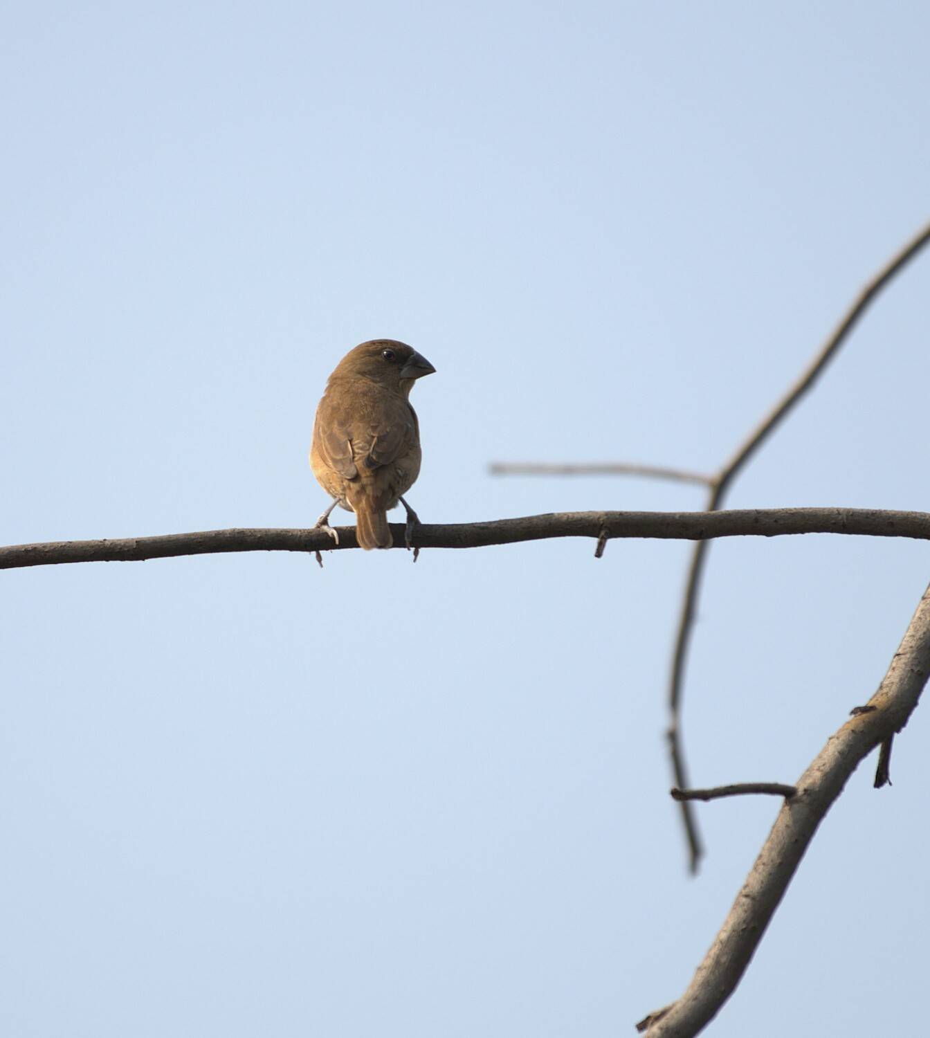 Photo #13377834