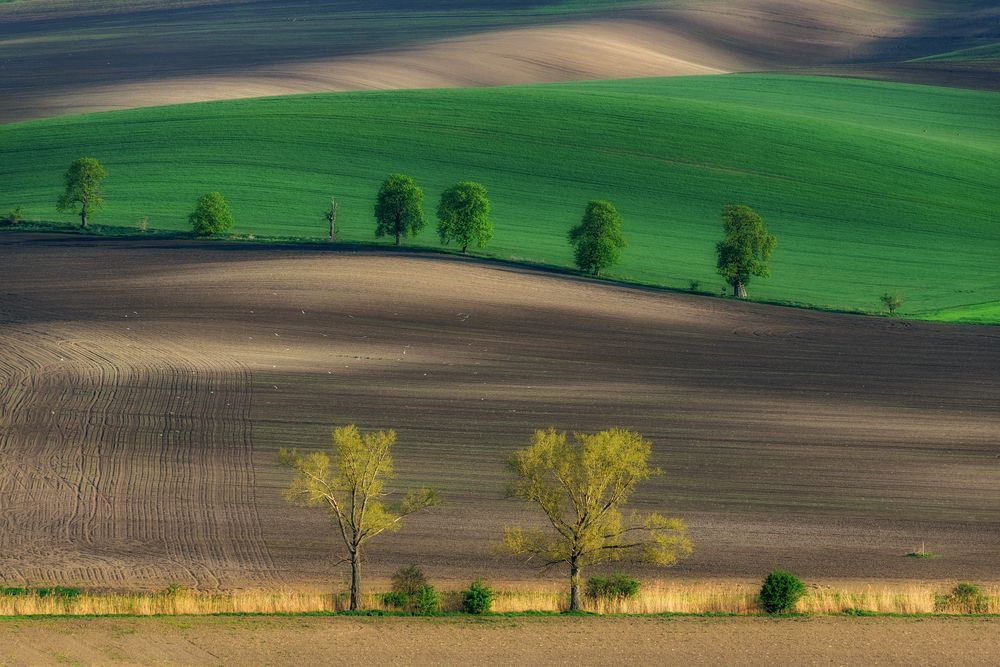 Фотография автора Гори Василий