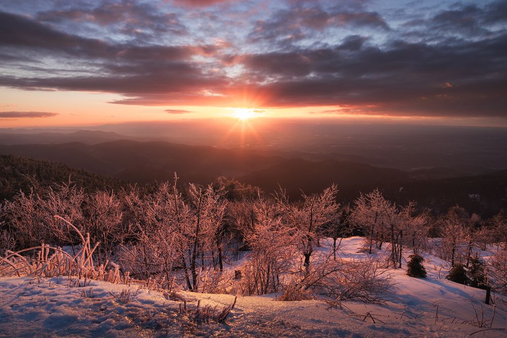 Black forest winter magic