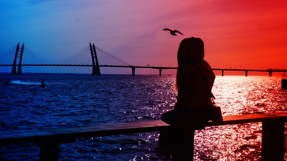 Photo #13377963