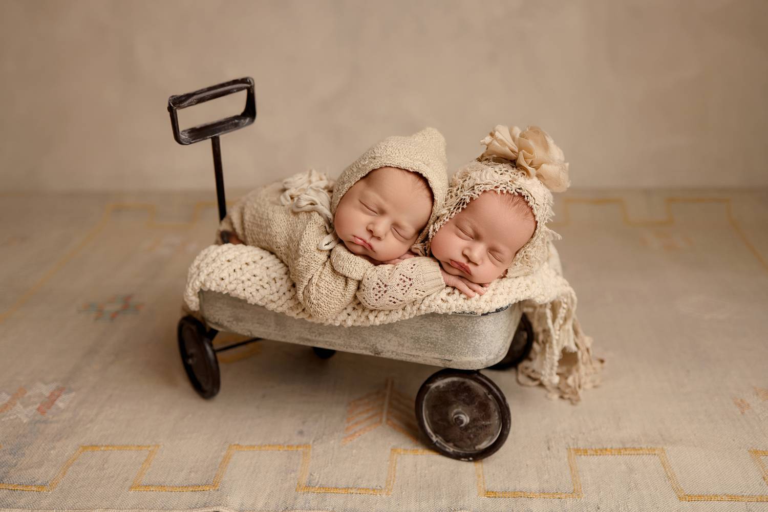 Photo #13377975