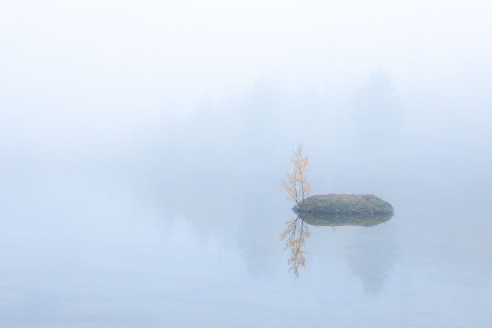 Photograph by Алексей Ретюнских