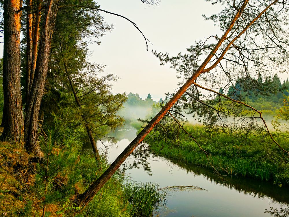 Photograph by Максим Кутсар