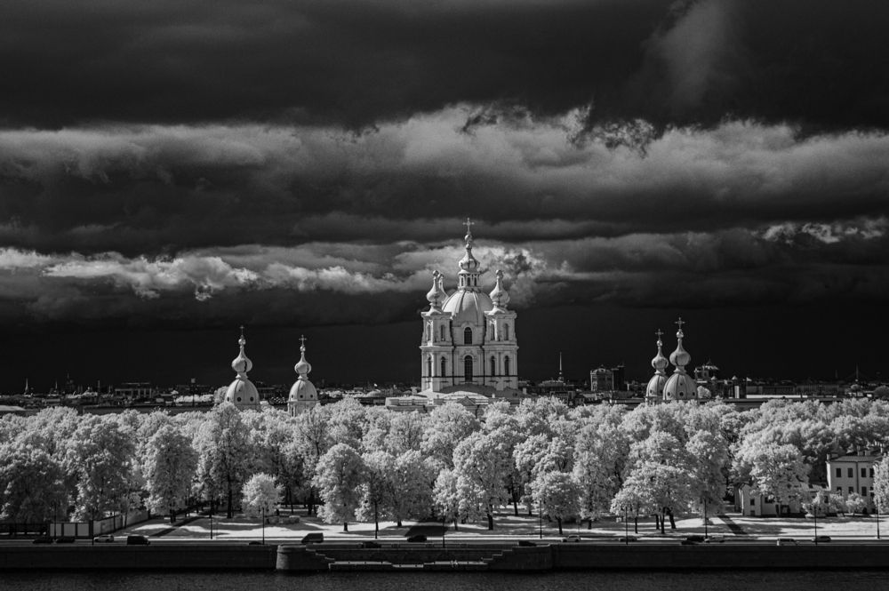 Фотография автора Яна Каменская