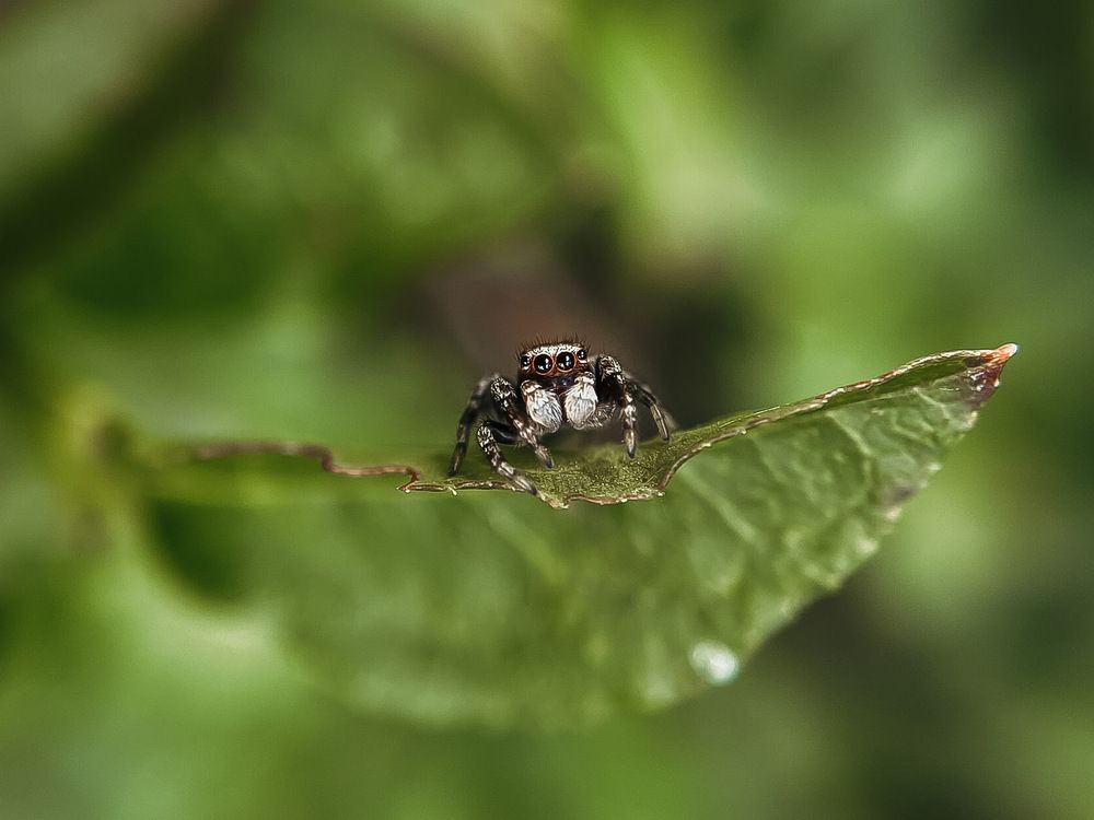 Photograph by Анна Бобкова