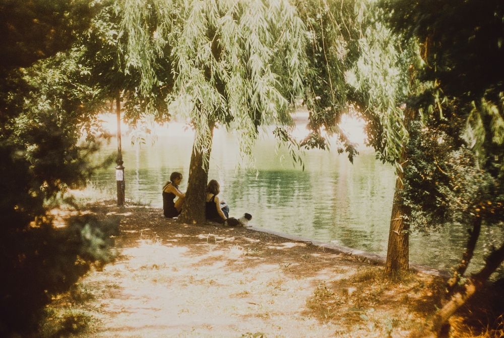 Фотография автора F. G.