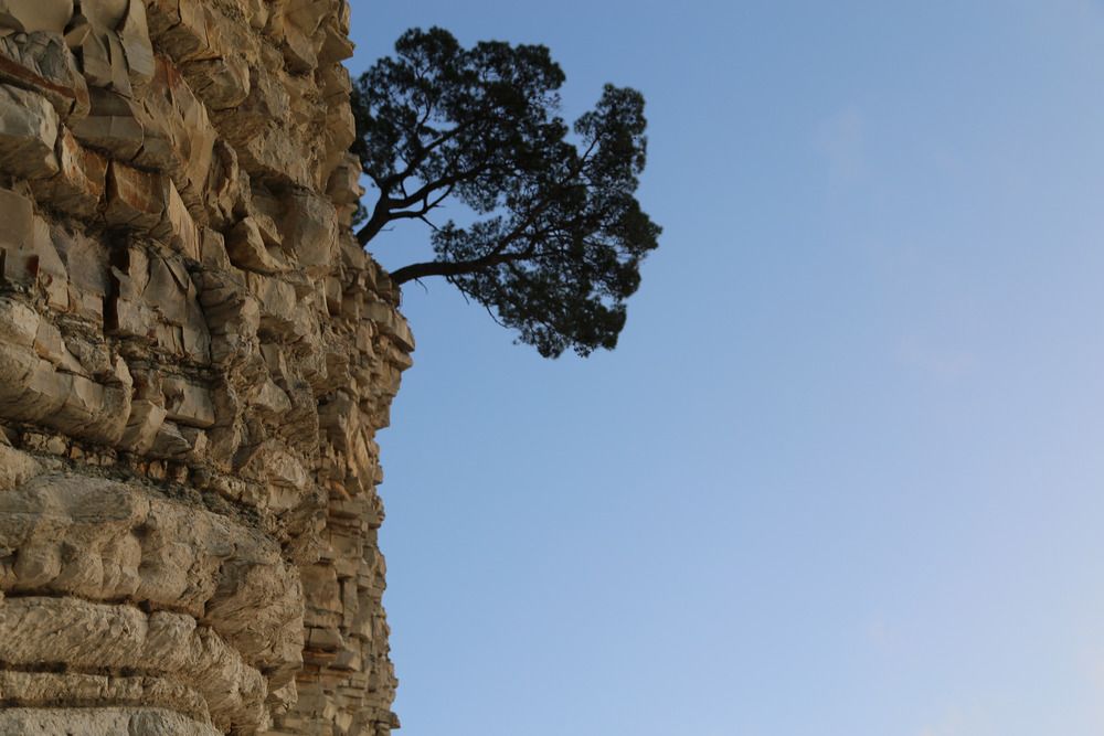 Photograph by Ksenia Sinitskaja