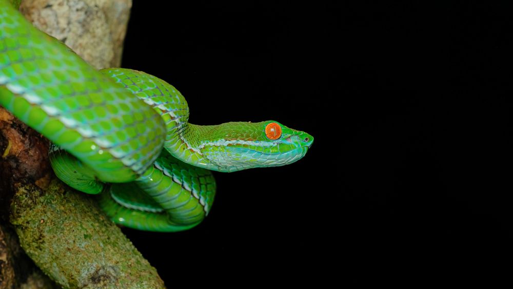 Photograph by Bùi Ngọc Hiếu