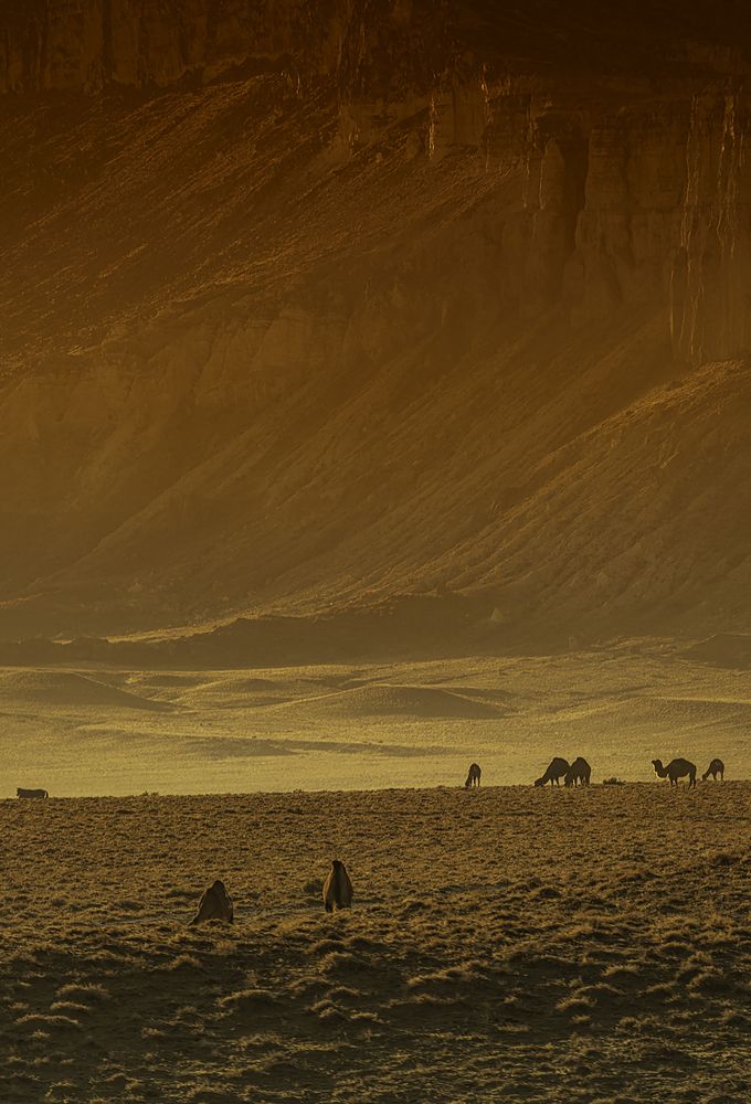 Photograph by VLADISLAV KIM
