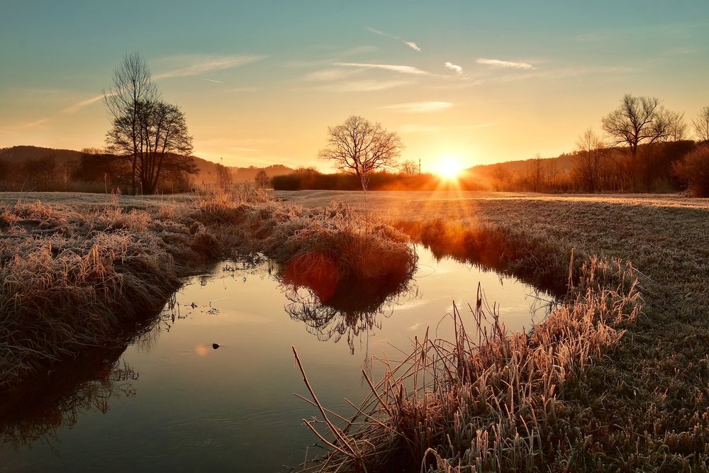 Фотография автора Wymann Elena