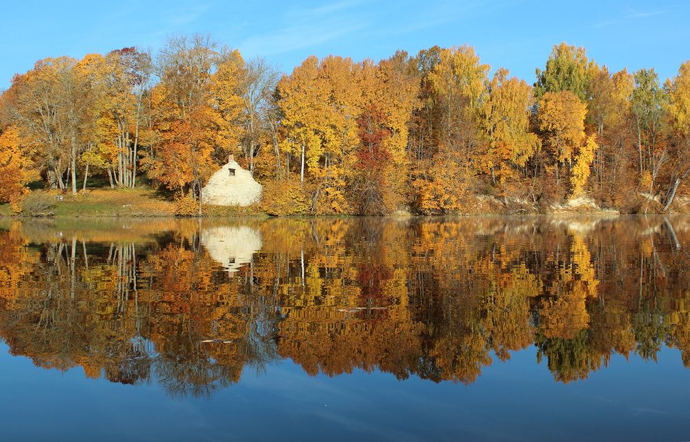 осеннее отражение