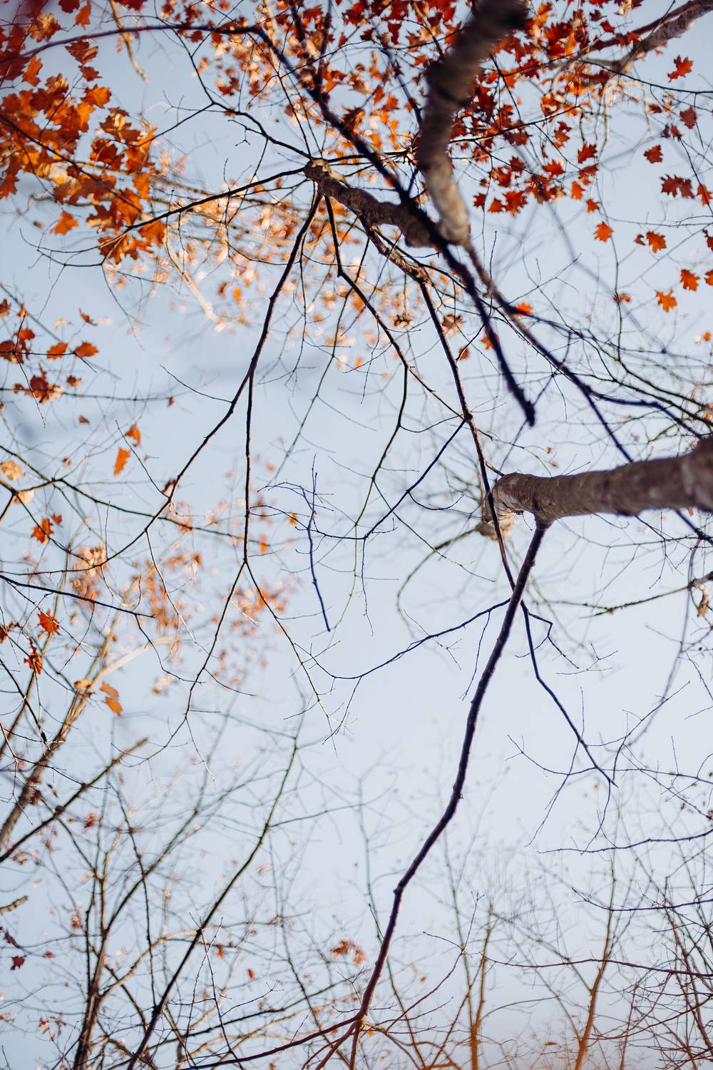 ОСЕННЯЯ ПОРА!