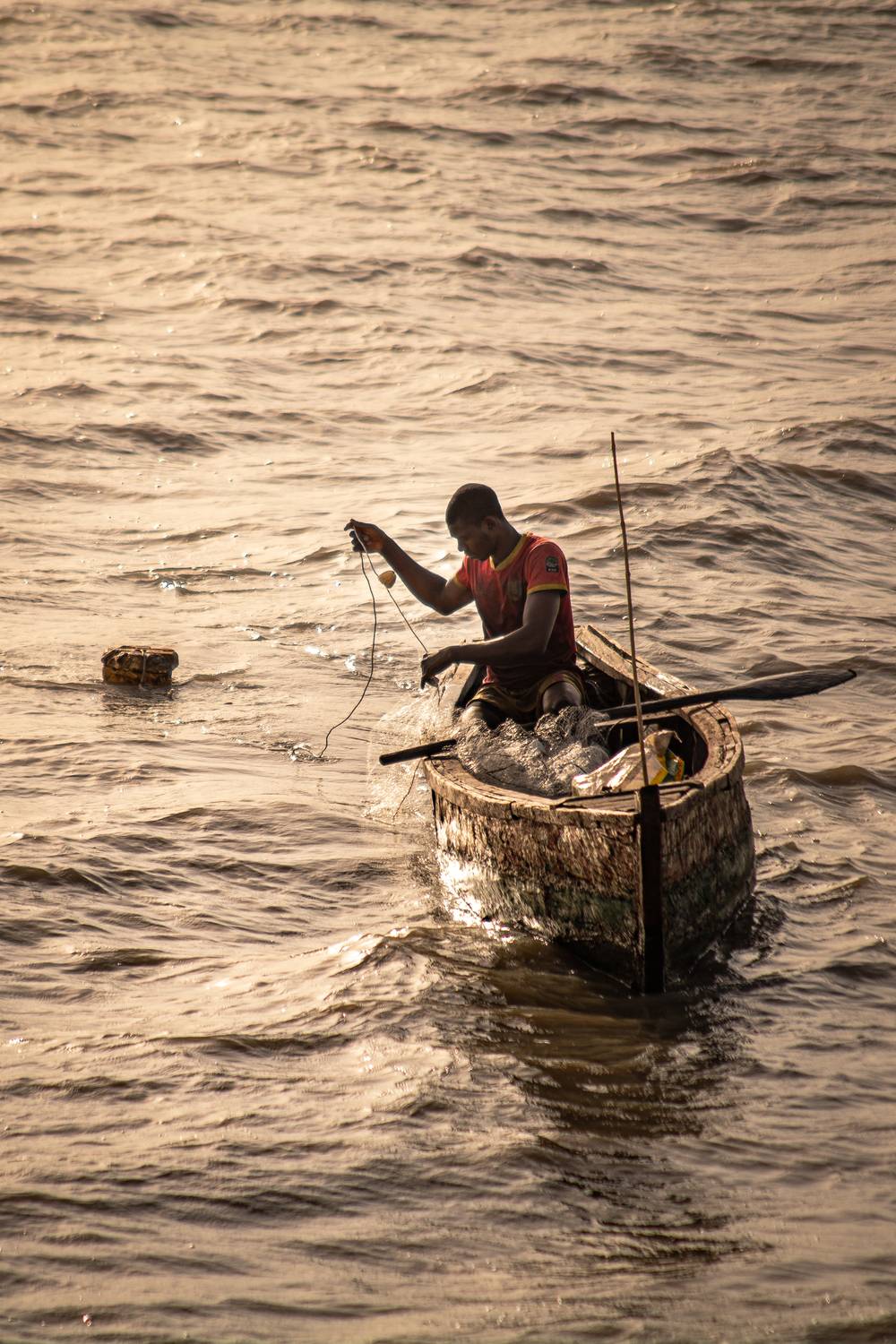 Гвинейский рыбак.
