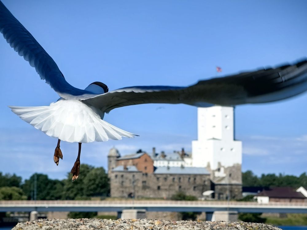 Photograph by Владислав Карасев