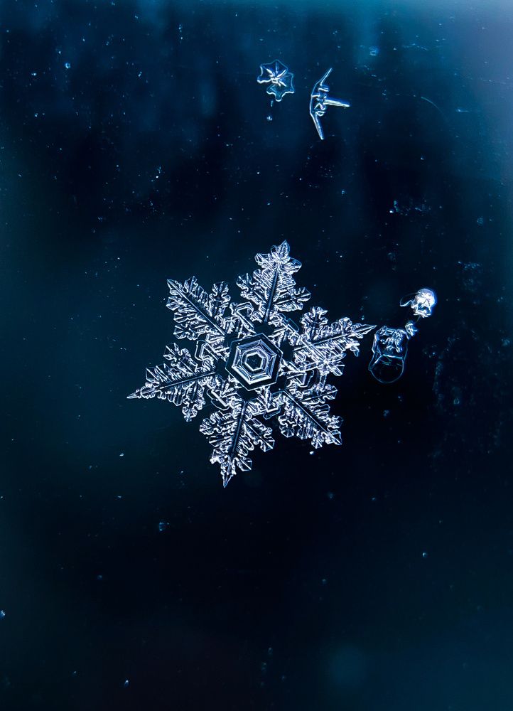 Photograph by Анна Бобкова