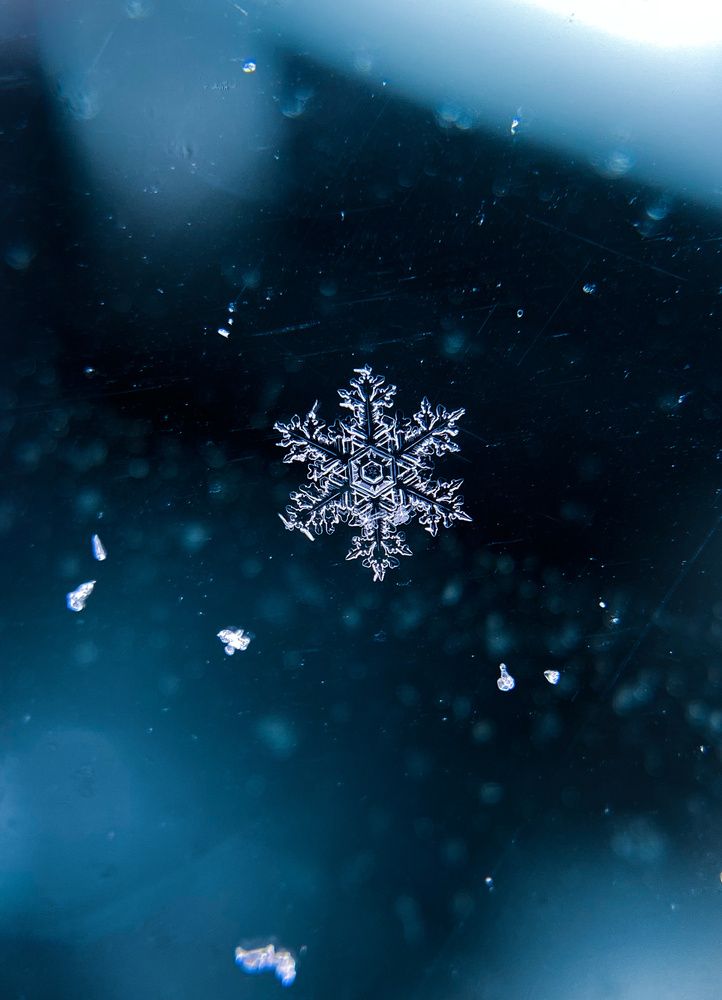 Photograph by Анна Бобкова