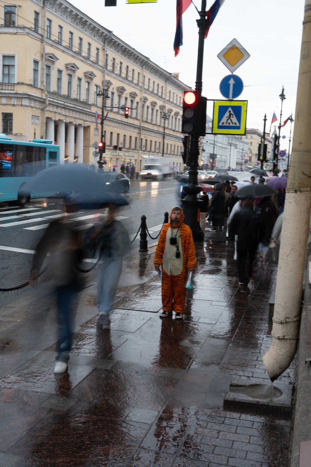 Photo #13378801