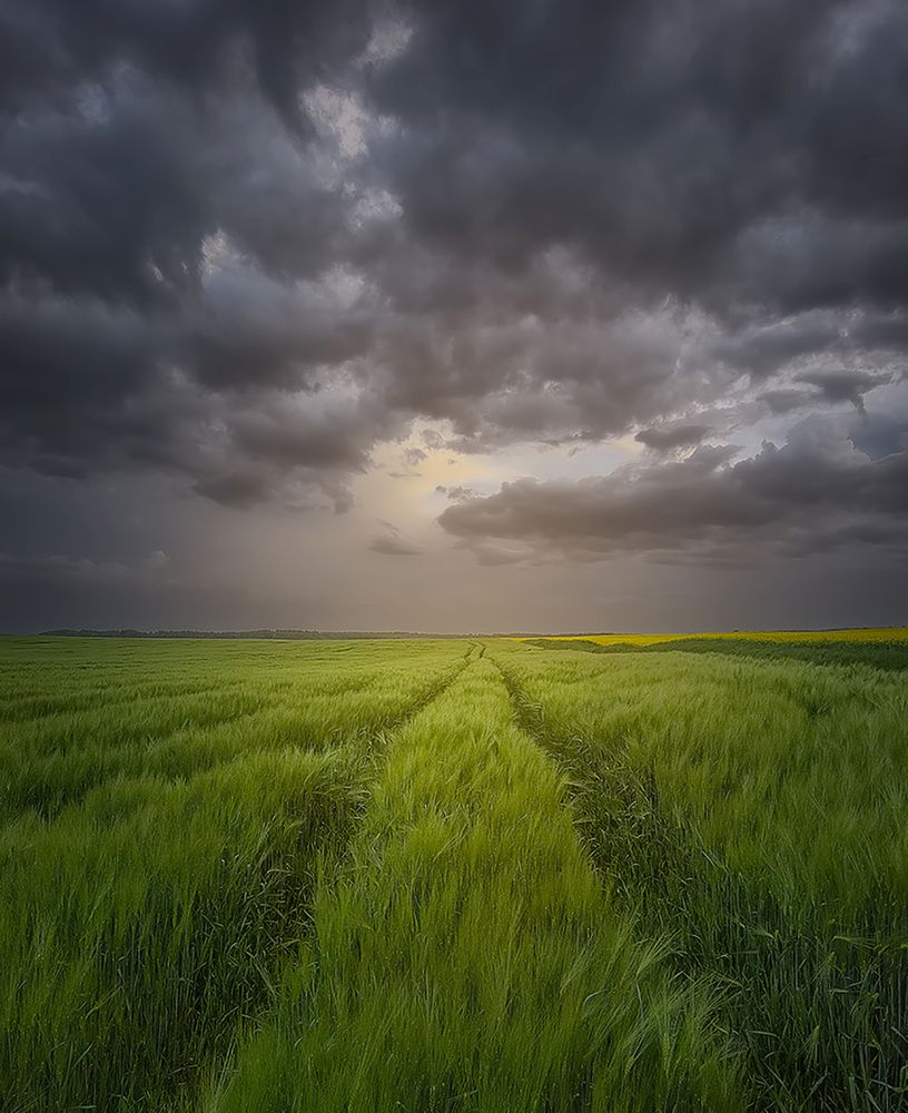 Photograph by Andrew Kuzmin