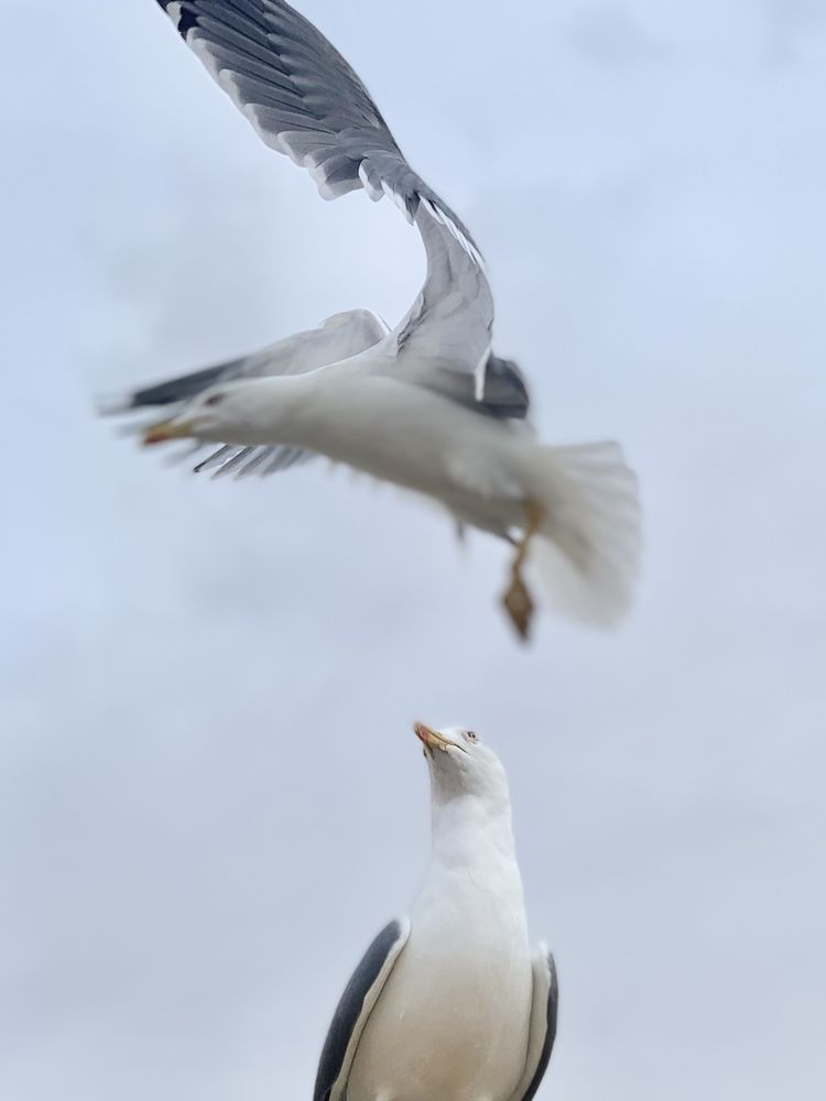 Photograph by Bouaidi Sylvie