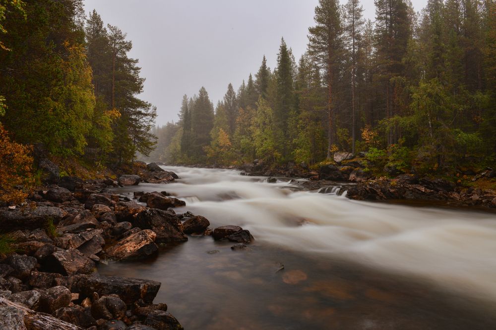 Photograph by Олег Корешонков