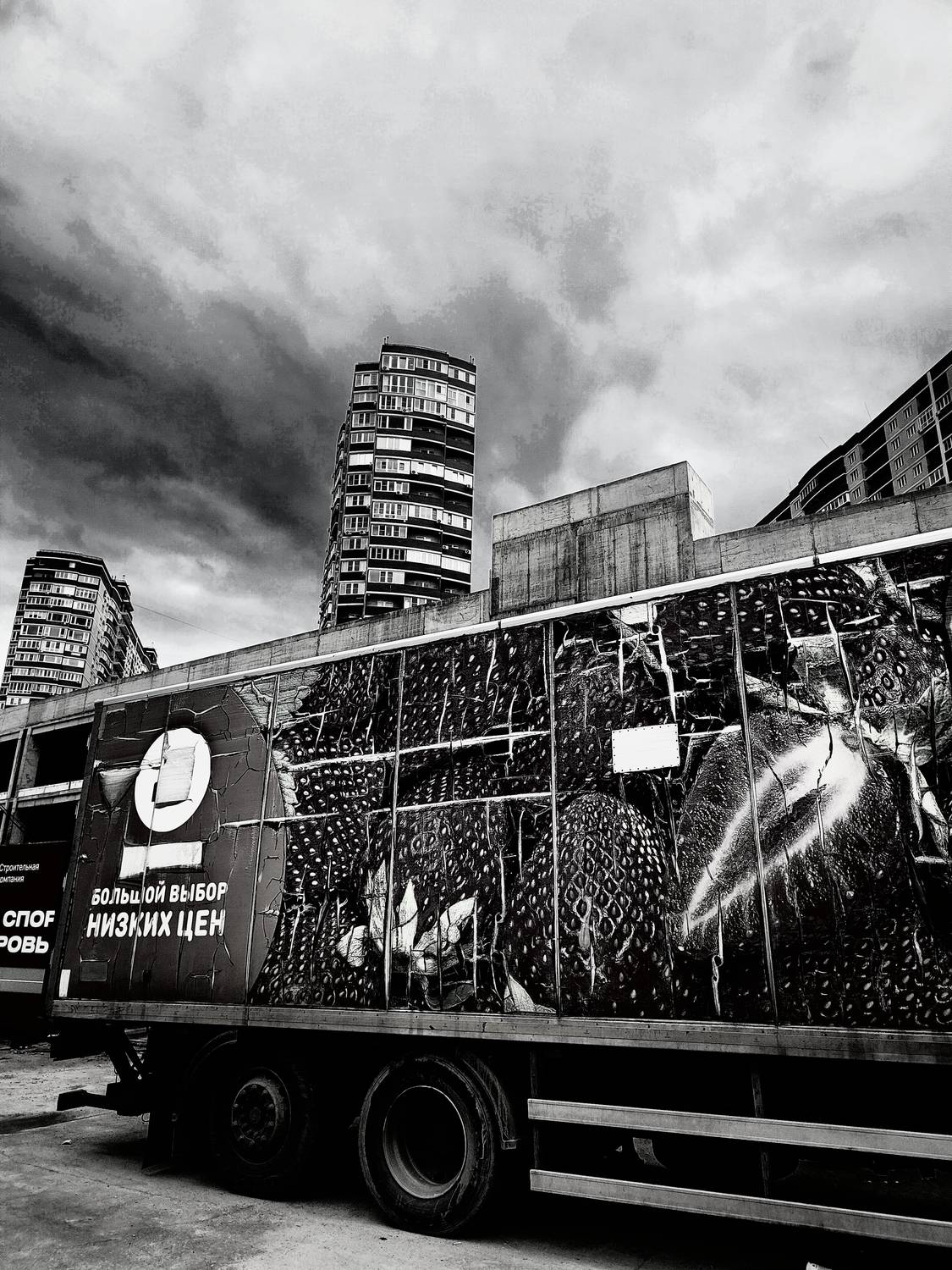Photo #13378894