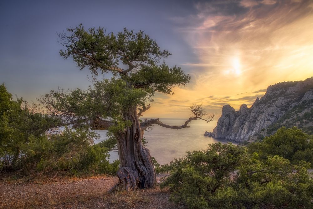 Фотография автора Алена Полетаева