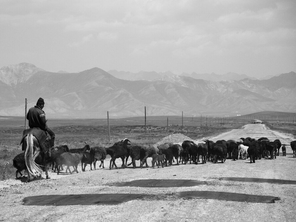 Photograph by Arthur Louis