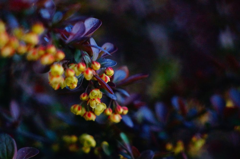 Photograph by Даниил Башкатов