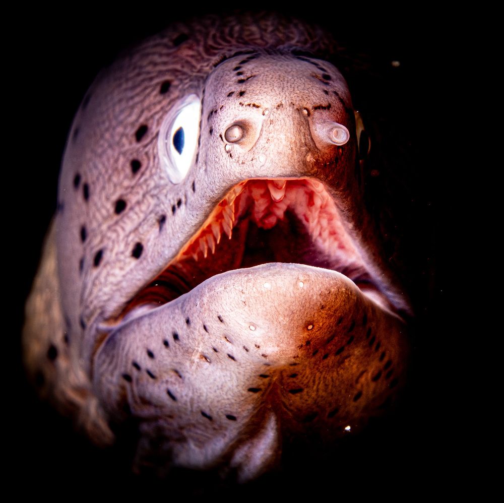 Photograph by Plakida Alexander