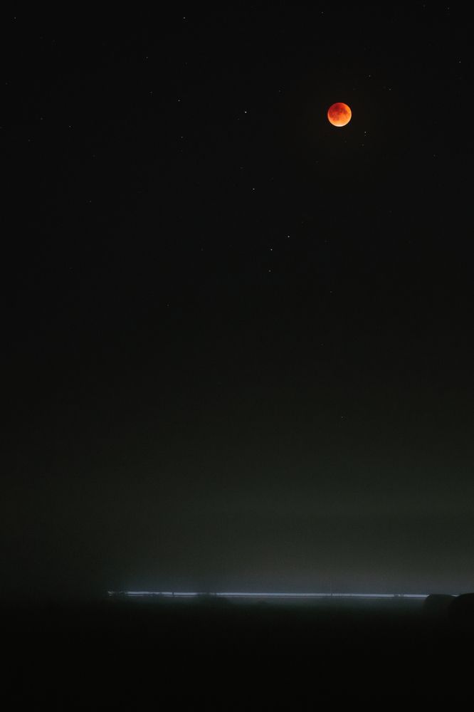 Photograph by МАРИЯ ПЕРШИНА