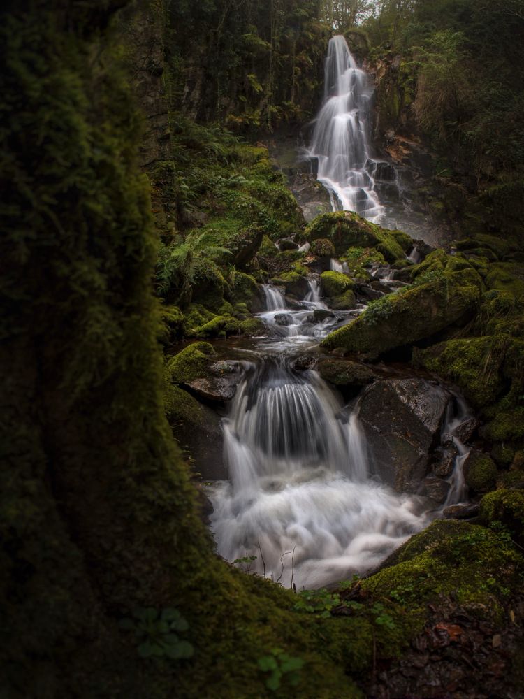 Photograph by david blanco