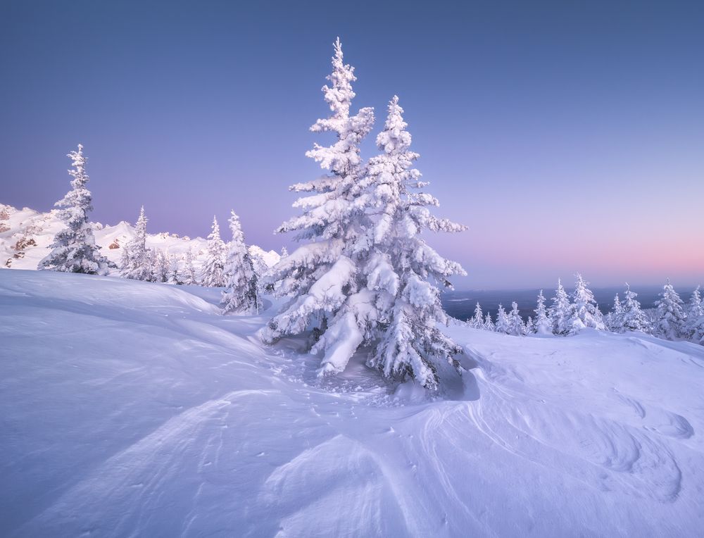 Photograph by Дубровинский Михаил