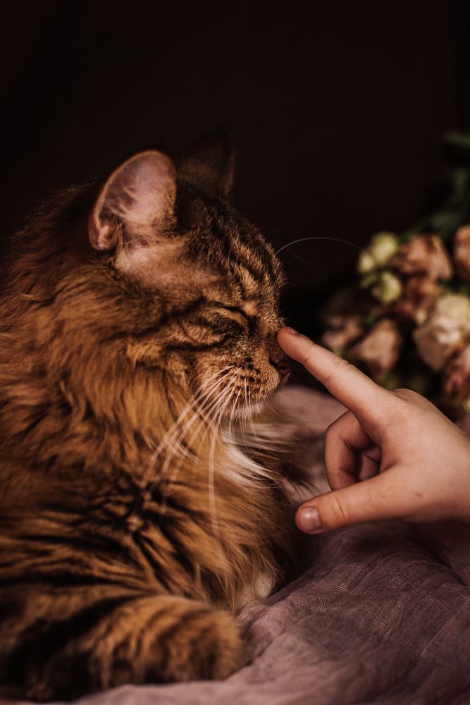 Photograph by Галина Ноздрина