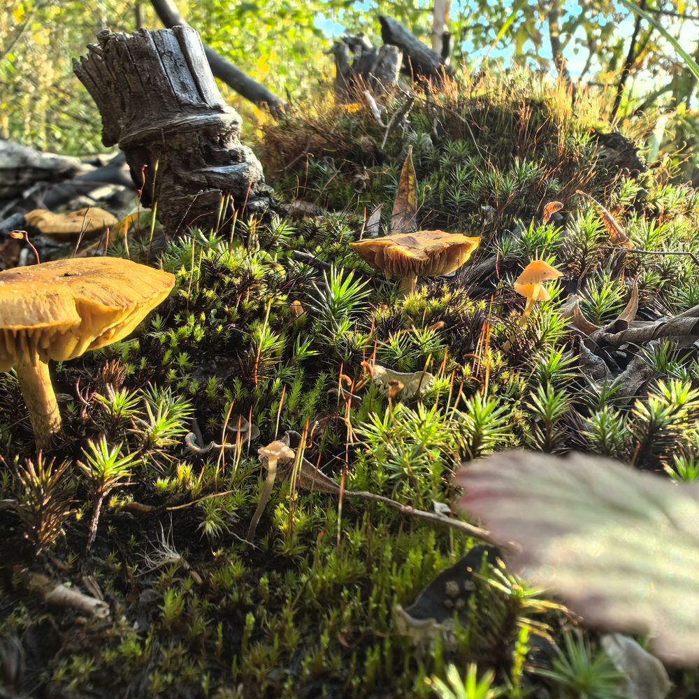 Photograph by Данил Сорокин