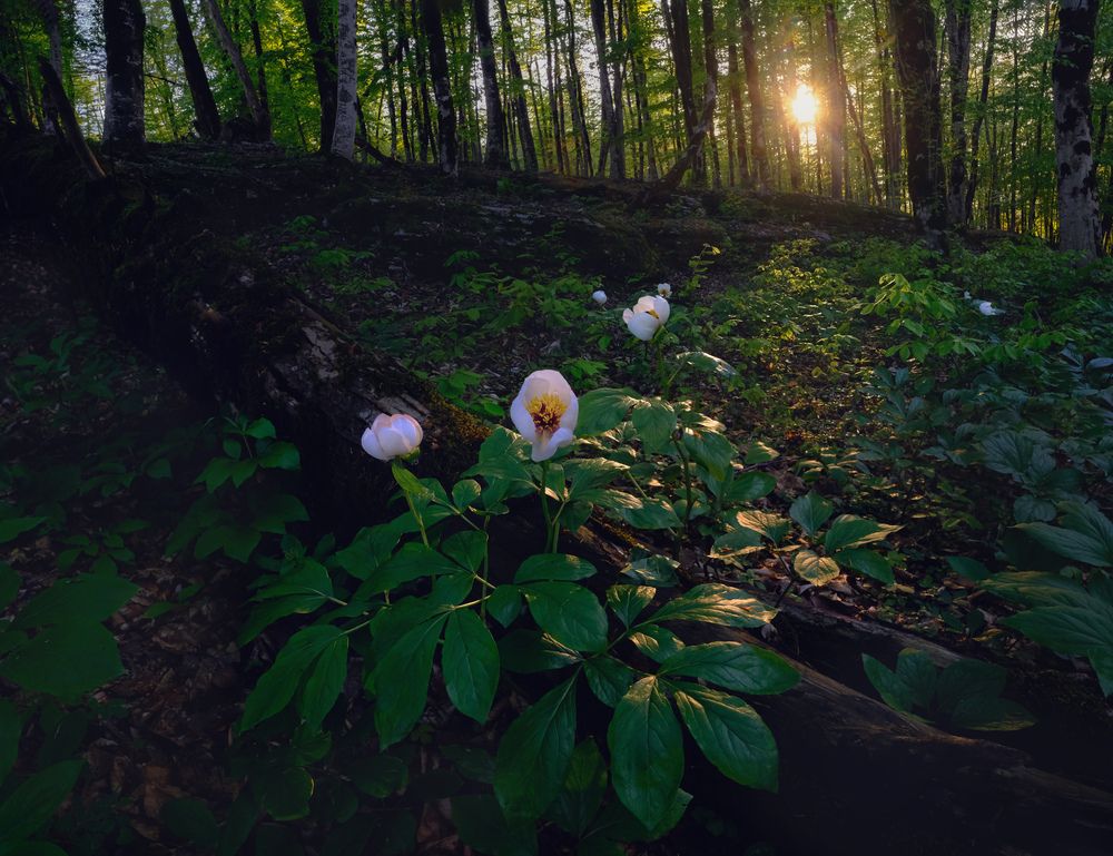 Фотография автора Алексей Бордуков