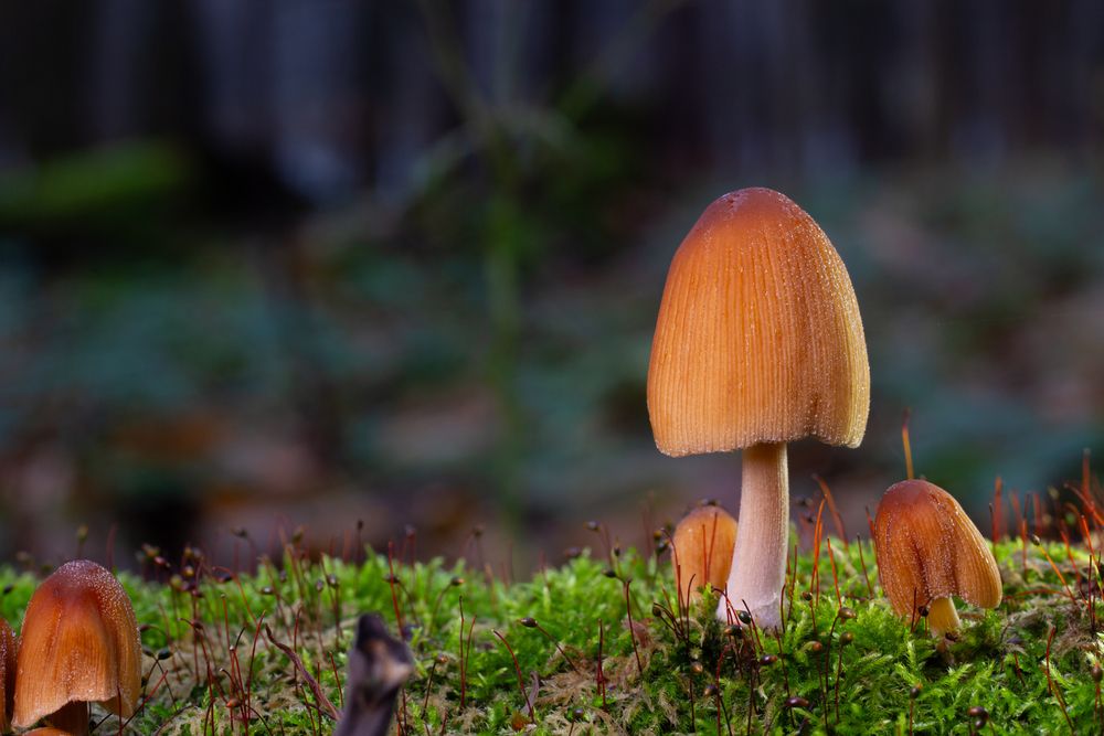 Photograph by Матвей Архипов