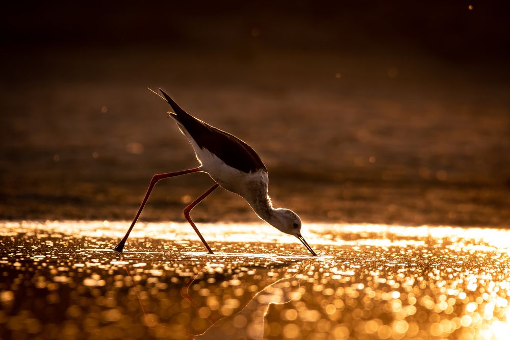 Photograph by Алёна Газукина