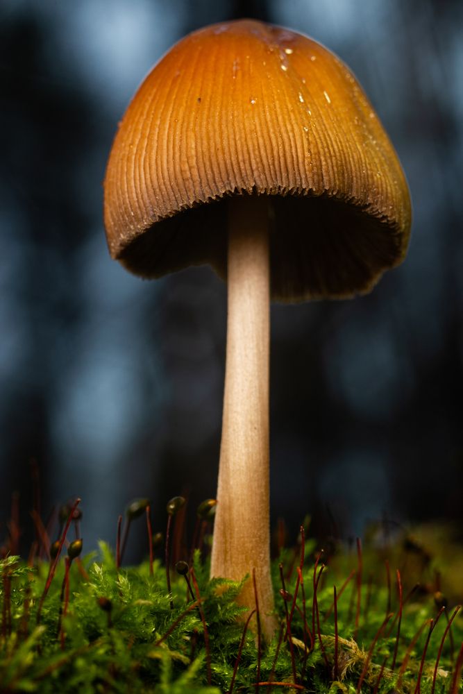 Photograph by Матвей Архипов