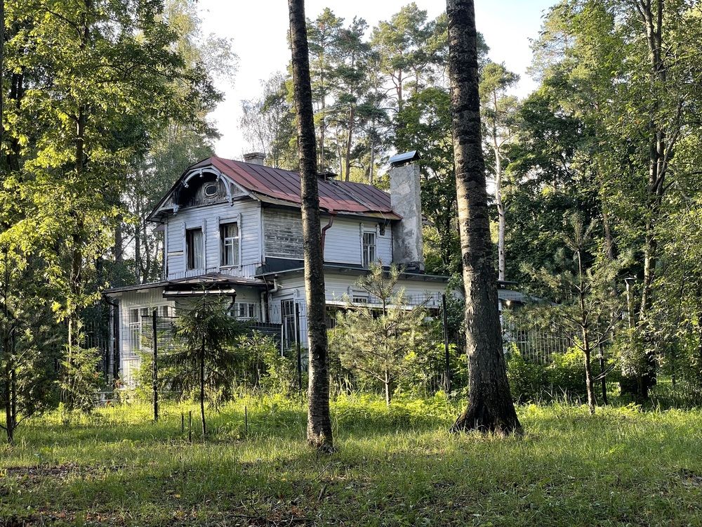 Photograph by Ирина Соловейченко