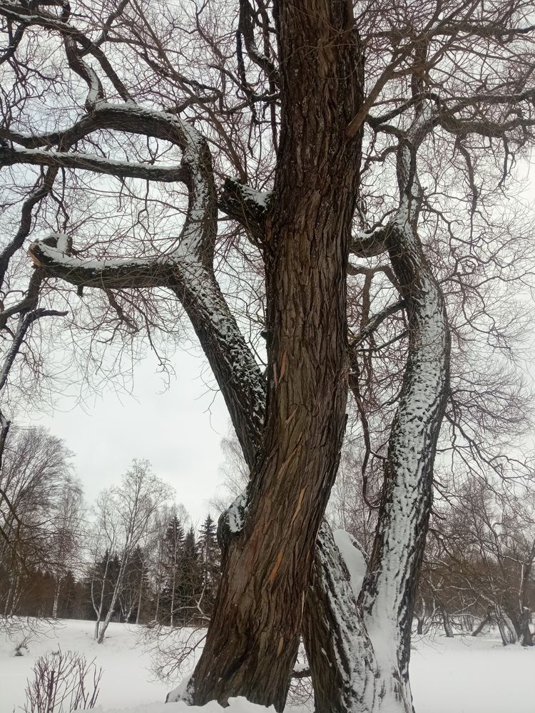 Photograph by Сергей Янкин