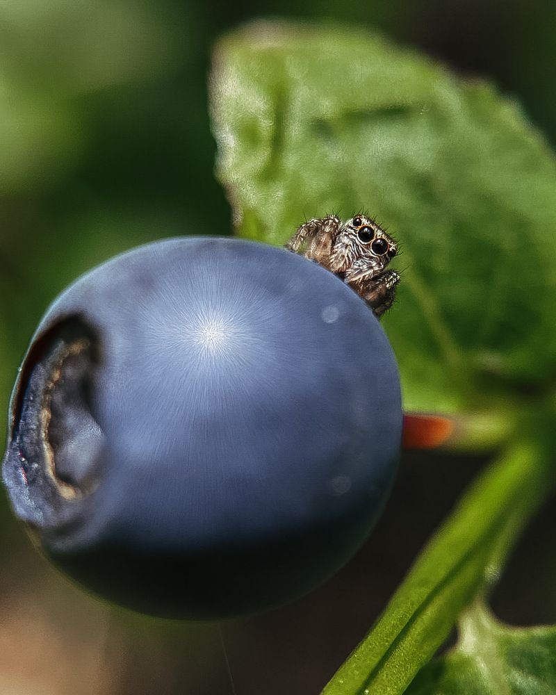Photograph by Анна Бобкова